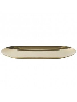 Stainless Steel Compact Tray - Large - Length 23cm