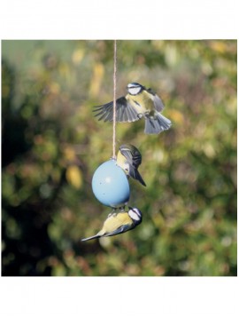 Bird Cake Set - Blue