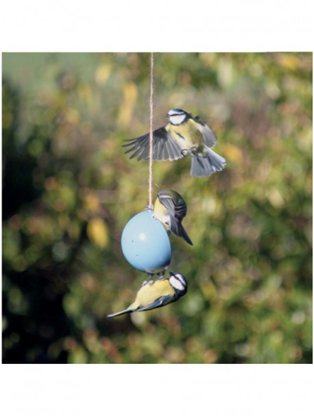 Bird Cake Set - Blue